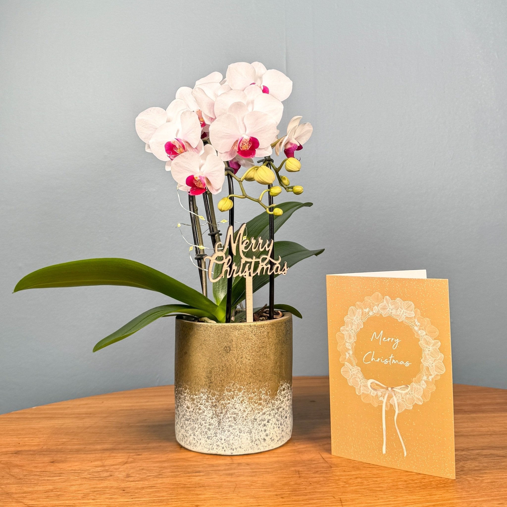 A Personalised Christmas Gift Card - Love Orchids