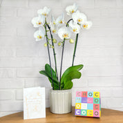 Mother's Day Gift Set: large orchid cascade, luxury chocolates and Mother's Day card - Love Orchids