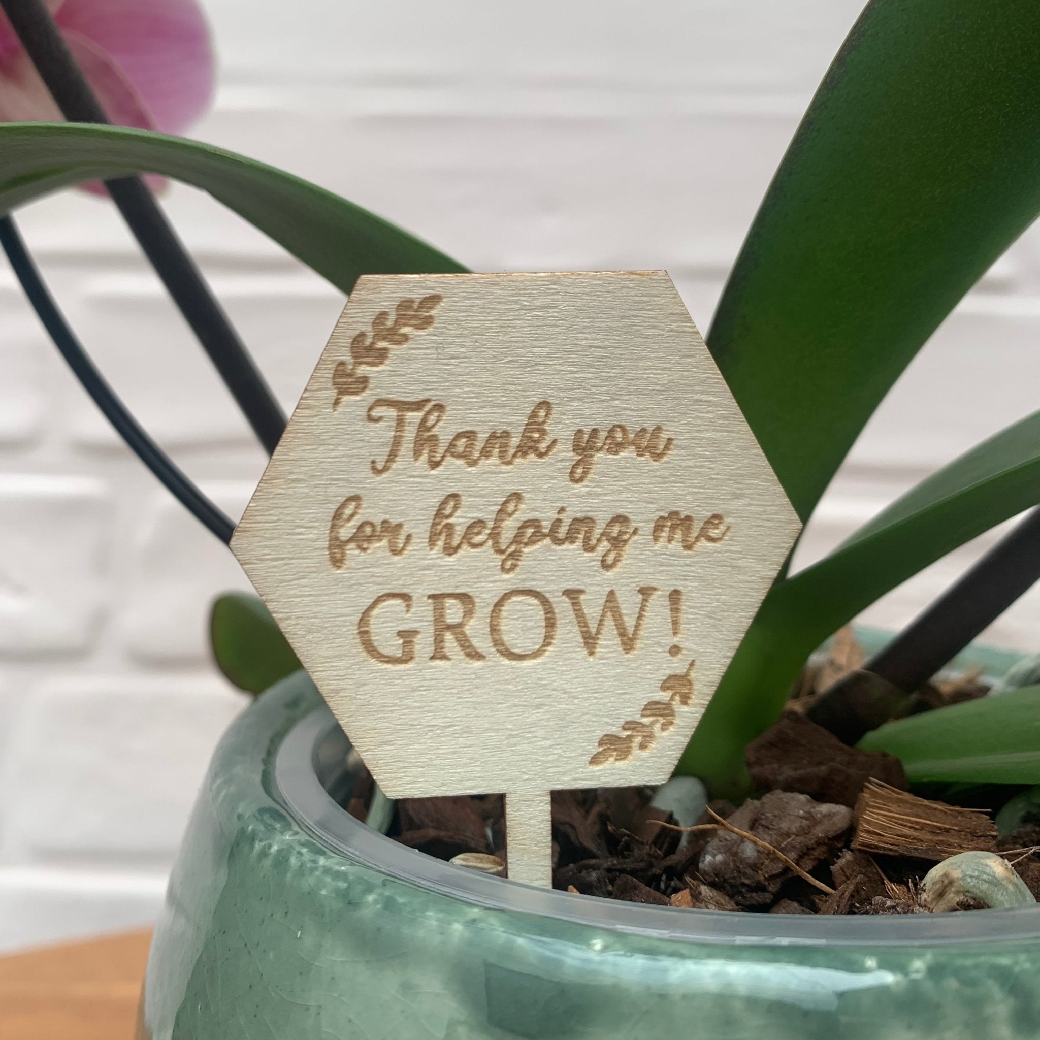 Plant Topper - Thank you for helping me grow - Love Orchids